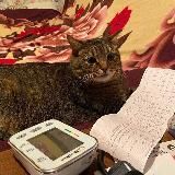 Ecg electrocardiography / ЭКГ электрокардиография