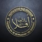 Дневник Абу Солиха