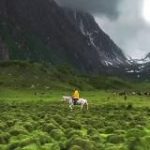 LA NATURE ET SES MERVEILLES