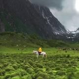 LA NATURE ET SES MERVEILLES