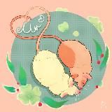 images to send and say “us”