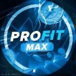 Выплаты – PROFIT MAX