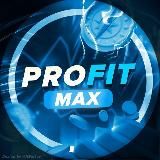 Выплаты – PROFIT MAX