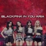 𝐛 𝐥 𝐚 𝐜 𝐤 𝐩 𝐢 𝐧 𝐤 𝐬 𝐡 𝐨 𝐩