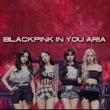 𝐛 𝐥 𝐚 𝐜 𝐤 𝐩 𝐢 𝐧 𝐤 𝐬 𝐡 𝐨 𝐩