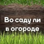 Загородный дом (Дача) или во саду ли, в огороде