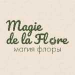 МАГИЯ ФЛОРЫ | ЭФИРНЫЕ МАСЛА