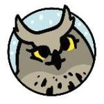 Ушами филина. Птицы и природа СПб и ЛО