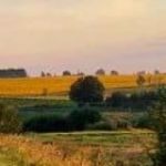 ХАЛЯВА КРИПТЫ – АНАЛИЗ РЫНКА КРИПТОВАЛЮТ