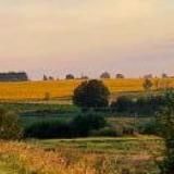 ХАЛЯВА КРИПТЫ – АНАЛИЗ РЫНКА КРИПТОВАЛЮТ