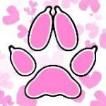 Лисья валентинка