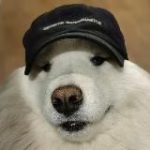 Скользкая собака