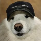 Скользкая собака