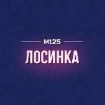 Лосиноостровский район М125