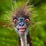 РЖАКА ПРИКОЛЫ ЮМОР СМЕШНЫЕ ВИДЕО