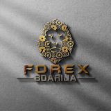 Forex b’darija