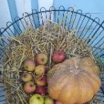 М = Моя Мовонька