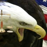 The McFiles News and Faith Network