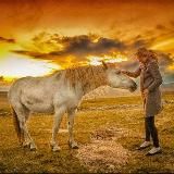 Jana Iger Russische Selbstheilung