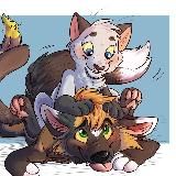 Любителям Кошек и Собак