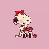 подборки откуда? с вб