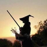 Травник лесной ведьмы