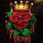 INFOSITE – только лучшие сайты