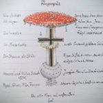 Jesus Christus unser Fliegenpilzmessias die Wahrheit