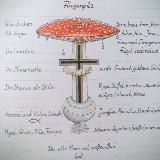 Jesus Christus unser Fliegenpilzmessias die Wahrheit