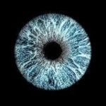 Одесский глаз | Одесса ИНФО