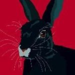 Кролик в шапке