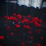 𝐬𝐨𝐯𝐤𝐮𝐬𝐨𝐦 | Музыка | Треки | Песни