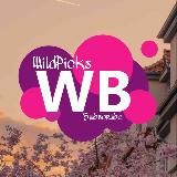 WildPicks | Подборки wildberries