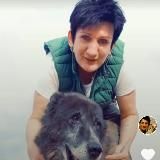 Дом для собак “Василёк”