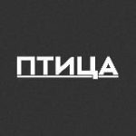 Птица | Медиа из Сибири