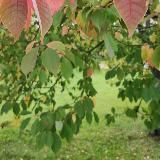 Путь к спокойствию