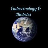 Endocrinology and Diabetes Updates