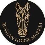 RUSSIAN HORSE MARKET® | ПРОДАЖА ЛОШАДЕЙ