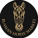 RUSSIAN HORSE MARKET® | ПРОДАЖА ЛОШАДЕЙ