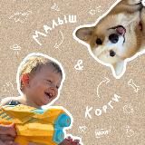 Малыш & корги