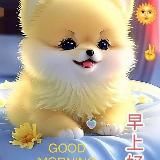 နိင်ငံတကာဇာတ်ကားစုံ