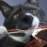 НеАдЕкВаТнЫе мемы