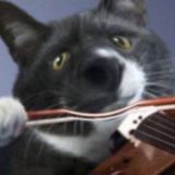 НеАдЕкВаТнЫе мемы