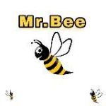 Mr.Bee