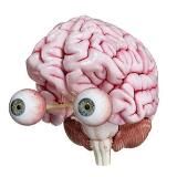 Мозг Ящер Инвест облигации, акции, ЦФА