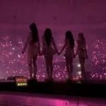 блэк пинк, фото, стикеры