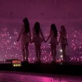 блэк пинк, фото, стикеры