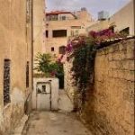 𝘃𝗿𝗲𝗺𝗲𝗻𝗶𝗲.𝗿