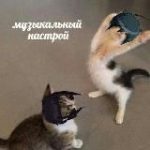 The Scarlet guitar of regret