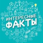Интересные факты